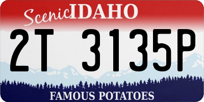 ID license plate 2T3135P