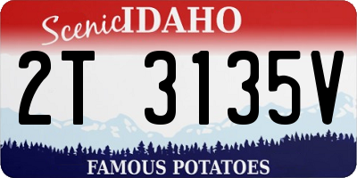 ID license plate 2T3135V