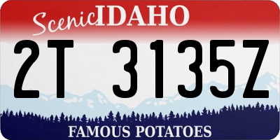 ID license plate 2T3135Z