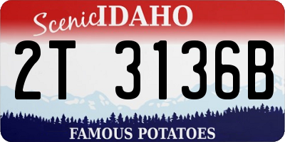 ID license plate 2T3136B
