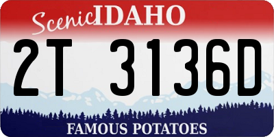 ID license plate 2T3136D