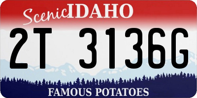ID license plate 2T3136G