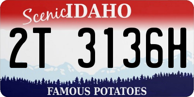 ID license plate 2T3136H