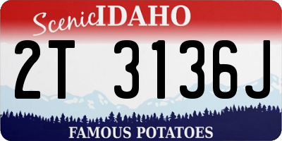 ID license plate 2T3136J