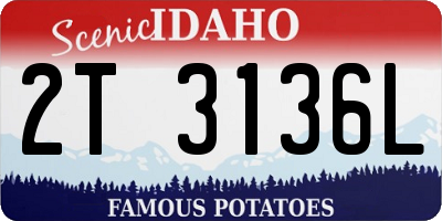 ID license plate 2T3136L