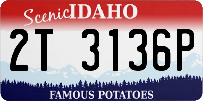 ID license plate 2T3136P