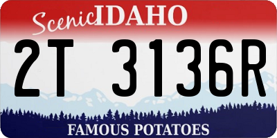 ID license plate 2T3136R
