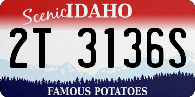 ID license plate 2T3136S