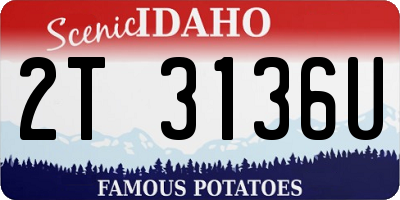 ID license plate 2T3136U