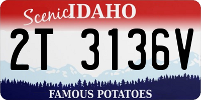 ID license plate 2T3136V
