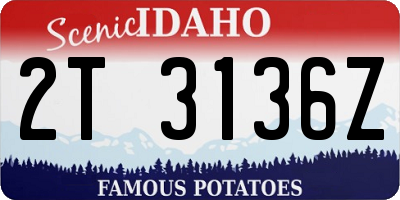 ID license plate 2T3136Z