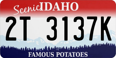 ID license plate 2T3137K