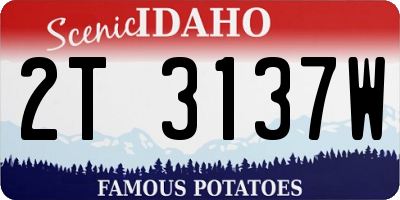 ID license plate 2T3137W