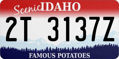 ID license plate 2T3137Z