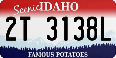 ID license plate 2T3138L