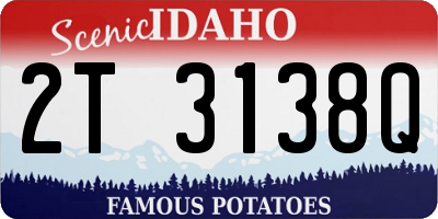 ID license plate 2T3138Q