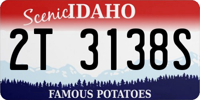 ID license plate 2T3138S