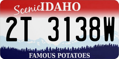 ID license plate 2T3138W