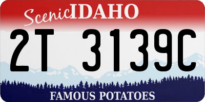 ID license plate 2T3139C