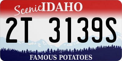 ID license plate 2T3139S