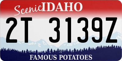 ID license plate 2T3139Z