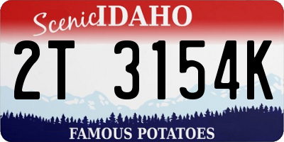 ID license plate 2T3154K