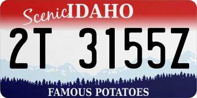 ID license plate 2T3155Z