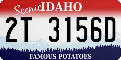 ID license plate 2T3156D