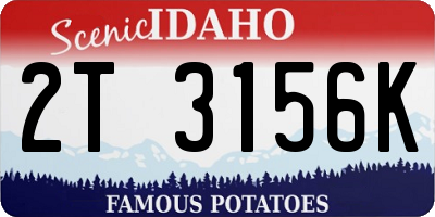 ID license plate 2T3156K