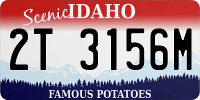 ID license plate 2T3156M