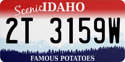 ID license plate 2T3159W