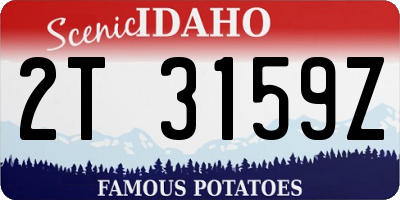 ID license plate 2T3159Z