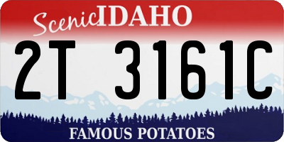 ID license plate 2T3161C