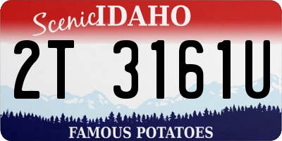 ID license plate 2T3161U