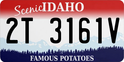 ID license plate 2T3161V