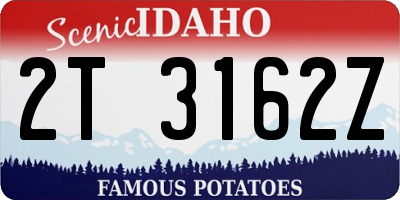 ID license plate 2T3162Z