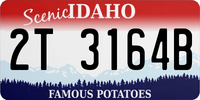 ID license plate 2T3164B