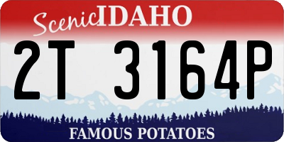 ID license plate 2T3164P