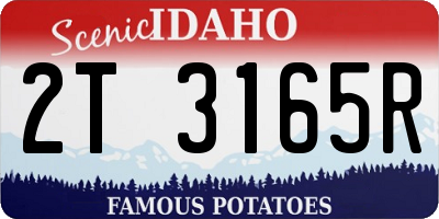 ID license plate 2T3165R