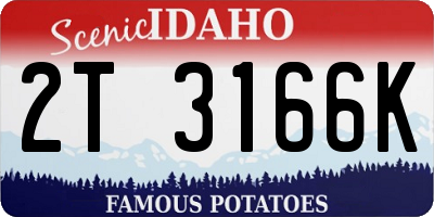 ID license plate 2T3166K