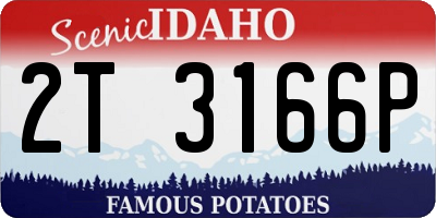 ID license plate 2T3166P