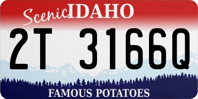 ID license plate 2T3166Q