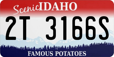 ID license plate 2T3166S