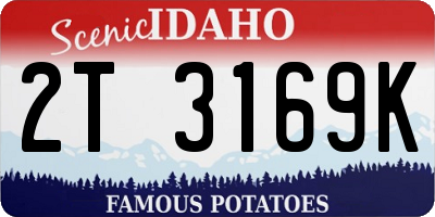 ID license plate 2T3169K