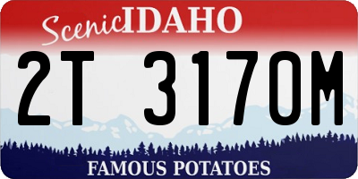 ID license plate 2T3170M