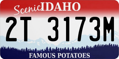 ID license plate 2T3173M