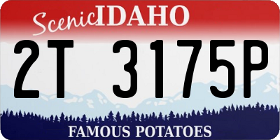ID license plate 2T3175P
