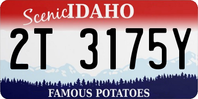 ID license plate 2T3175Y