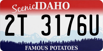 ID license plate 2T3176U
