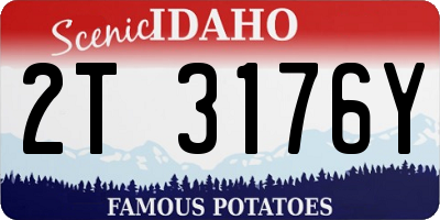 ID license plate 2T3176Y